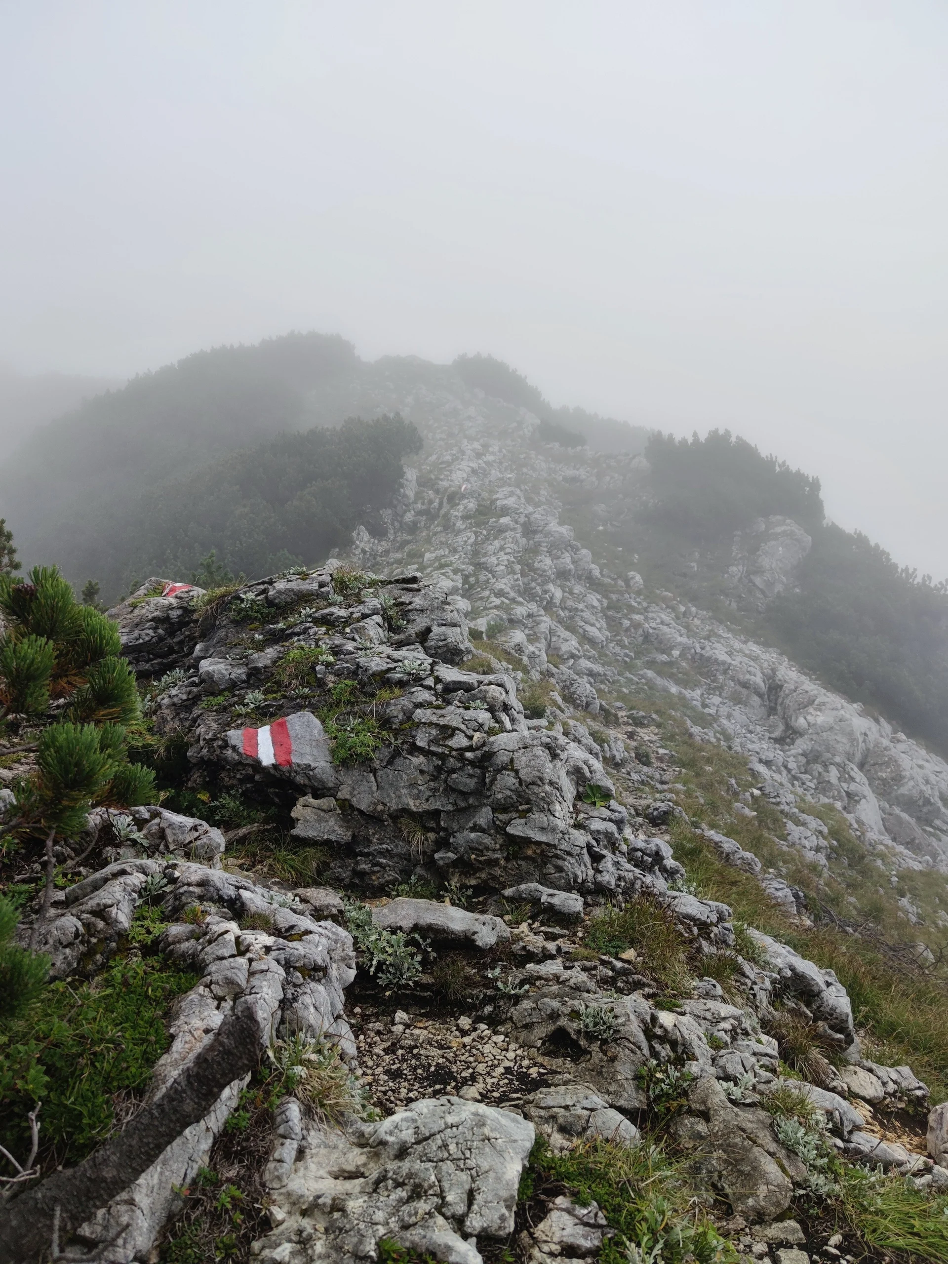 jDAV Dingolfing unterwegs in den Bergen | © Schlappinger Anna