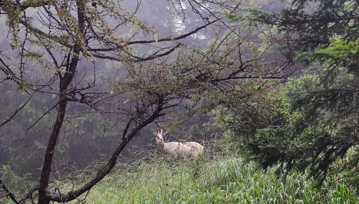 jDAV Dingolfing unterwegs in den Bergen | © Schlappinger Anna