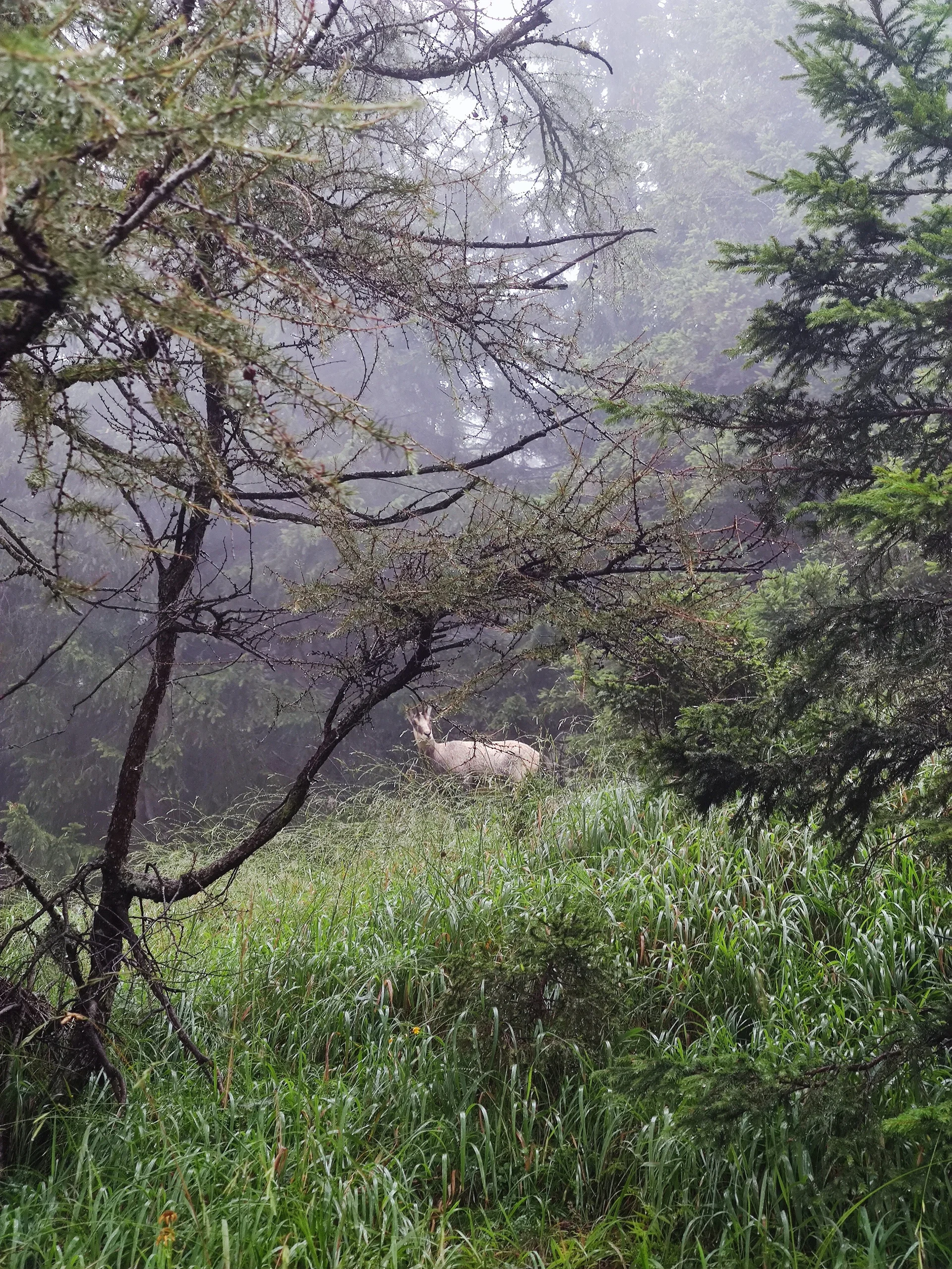 jDAV Dingolfing unterwegs in den Bergen | © Schlappinger Anna