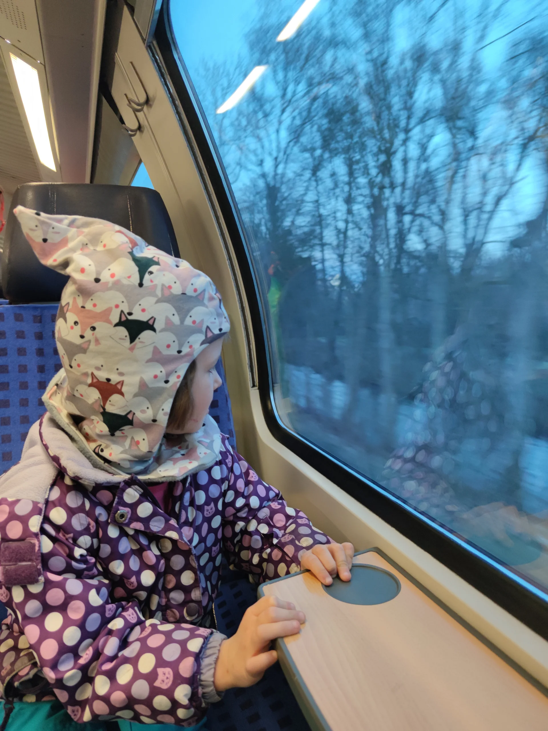 Im Zug | © Anna Schlappinger