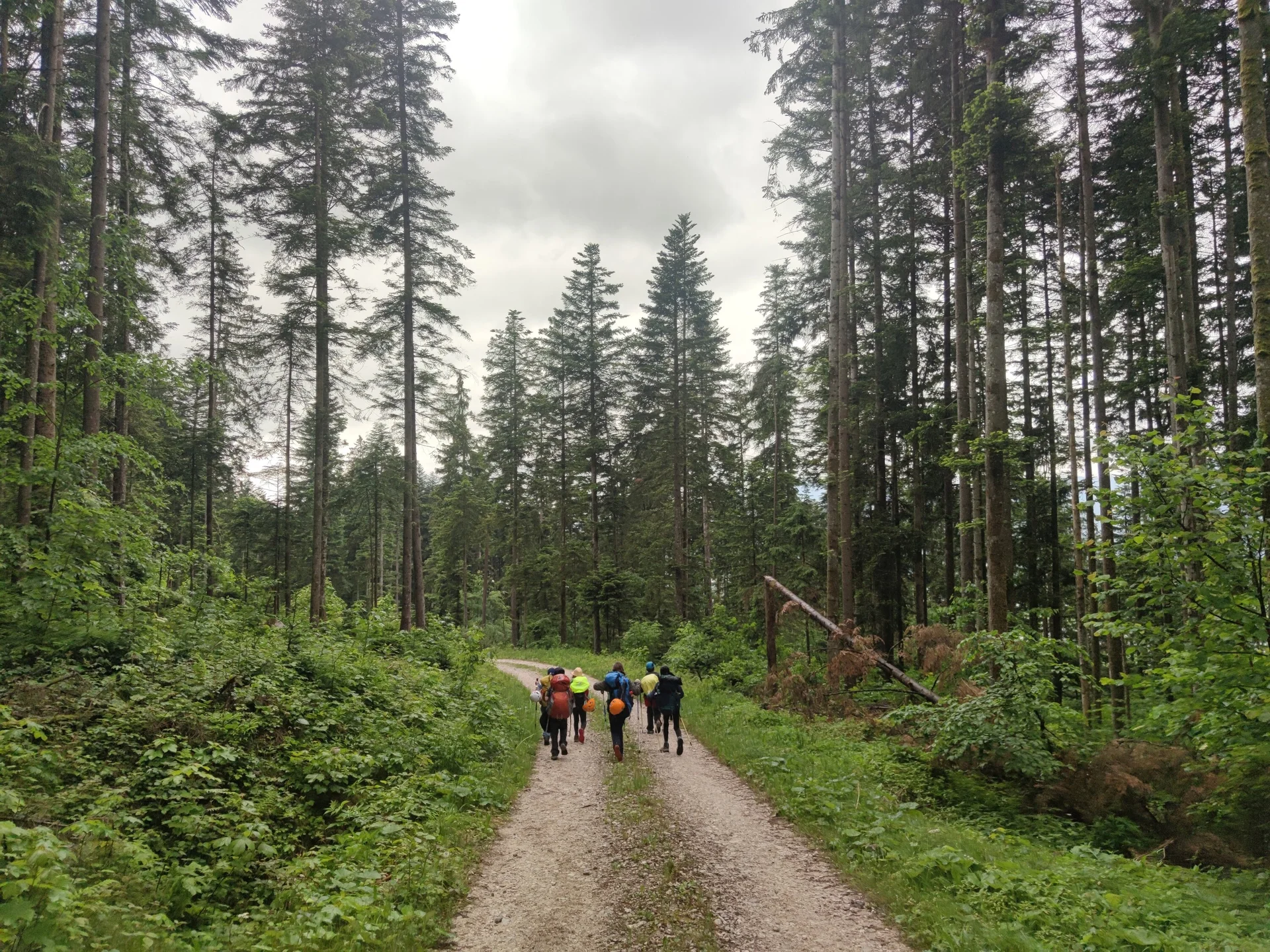 Vorderkaiserfeldenhütte | © Schlappinger Anna