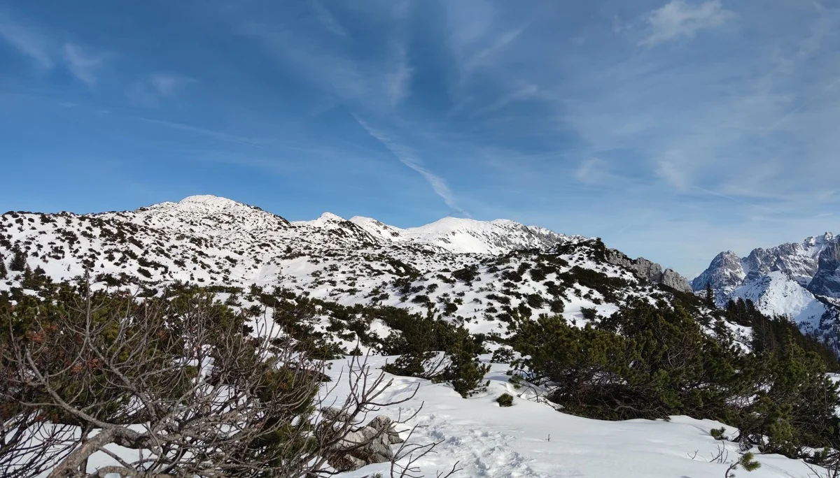 Vorderkaiserfeldenhütte | © Schlappinger Anna
