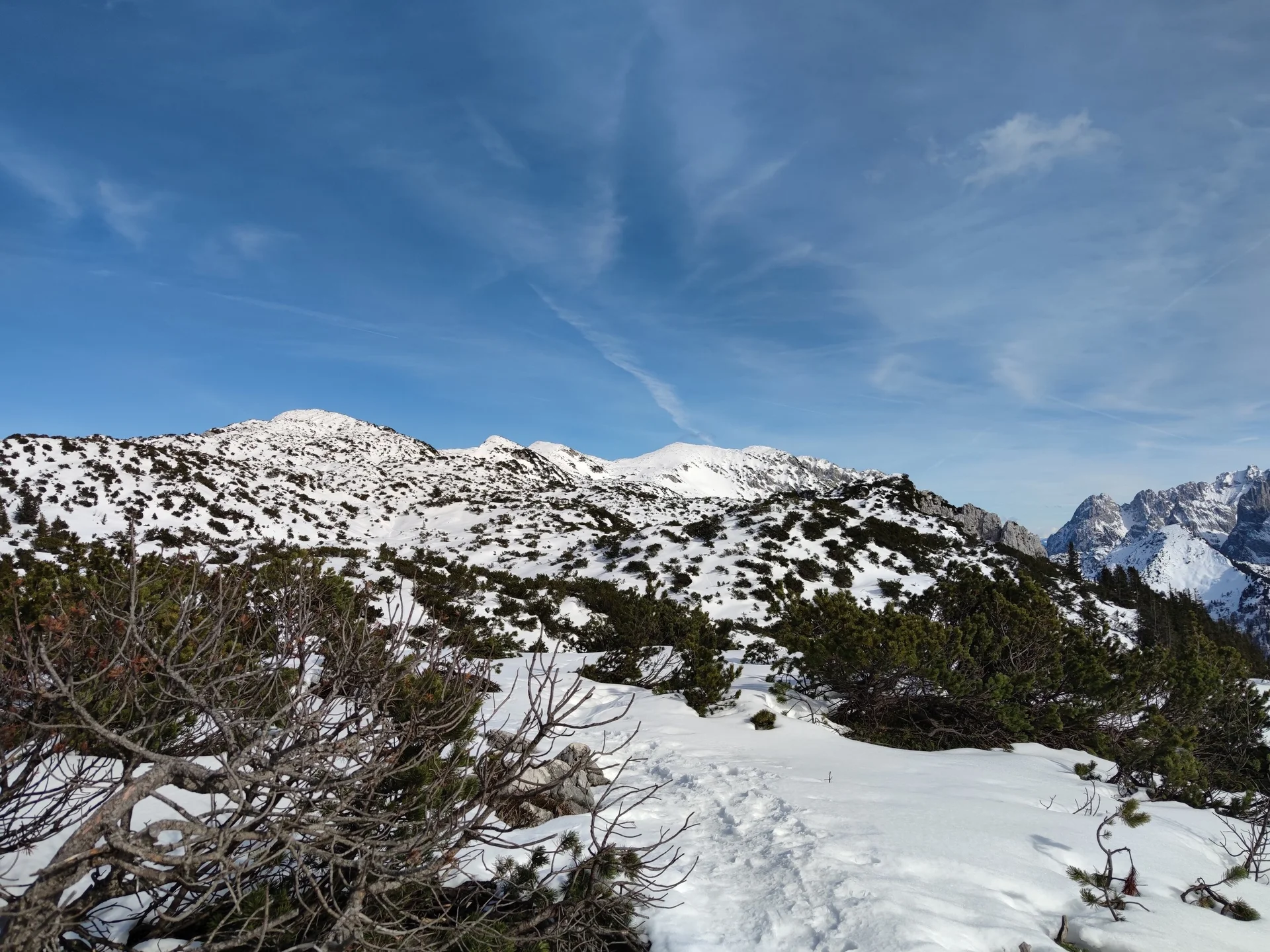Vorderkaiserfeldenhütte | © Schlappinger Anna