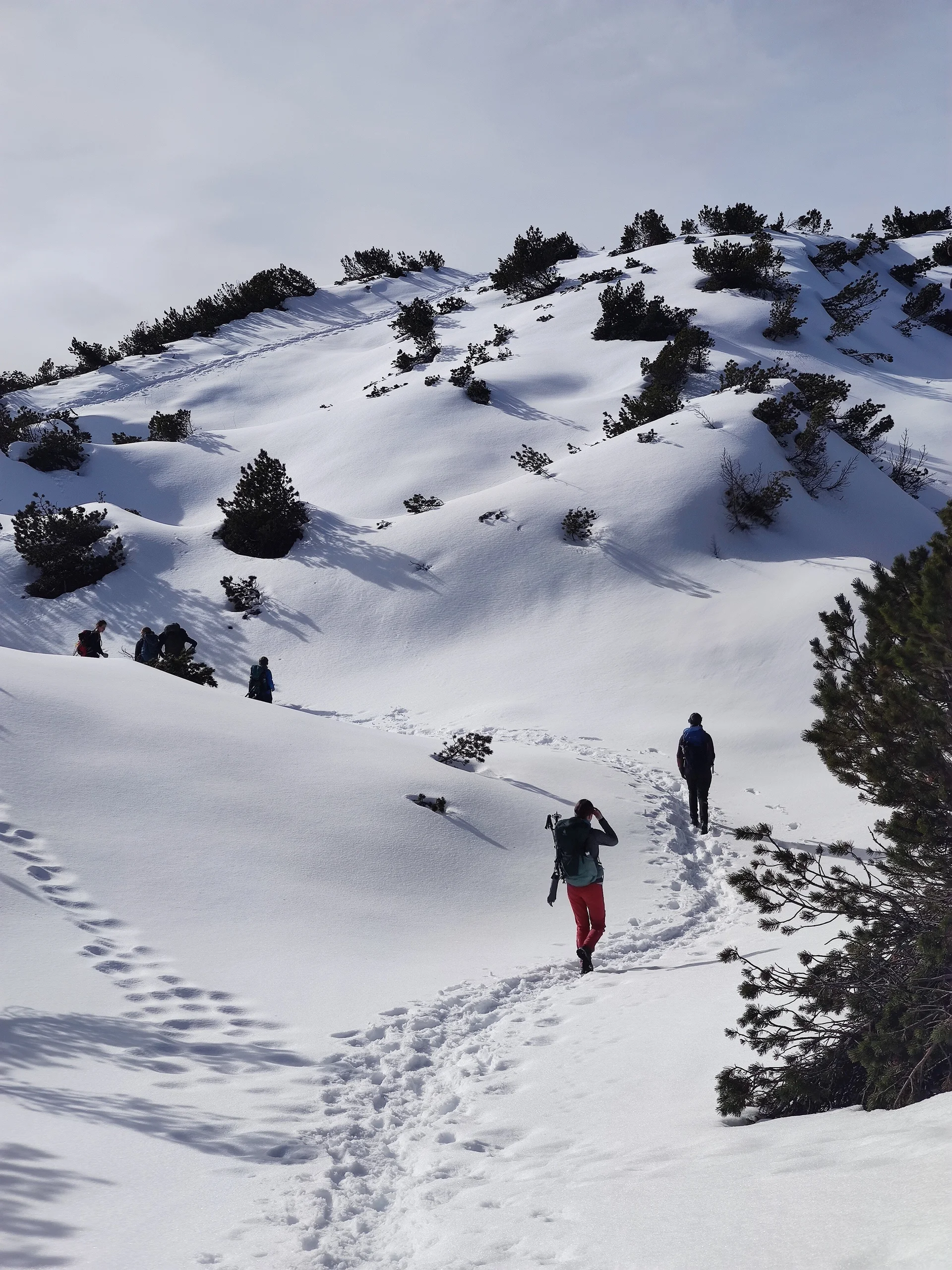 Vorderkaiserfeldenhütte | © Schlappinger Anna