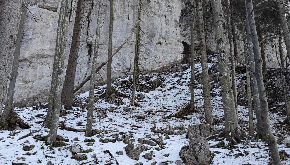 Vorderkaiserfeldenhütte | © Schlappinger Anna