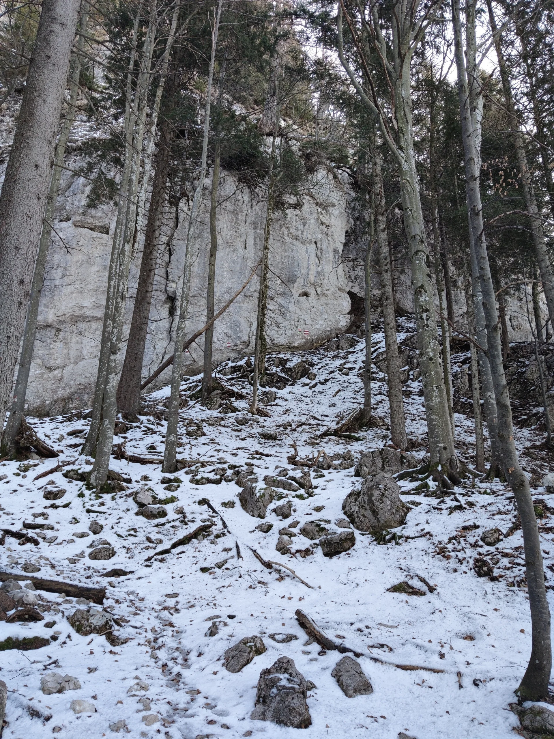 Vorderkaiserfeldenhütte | © Schlappinger Anna
