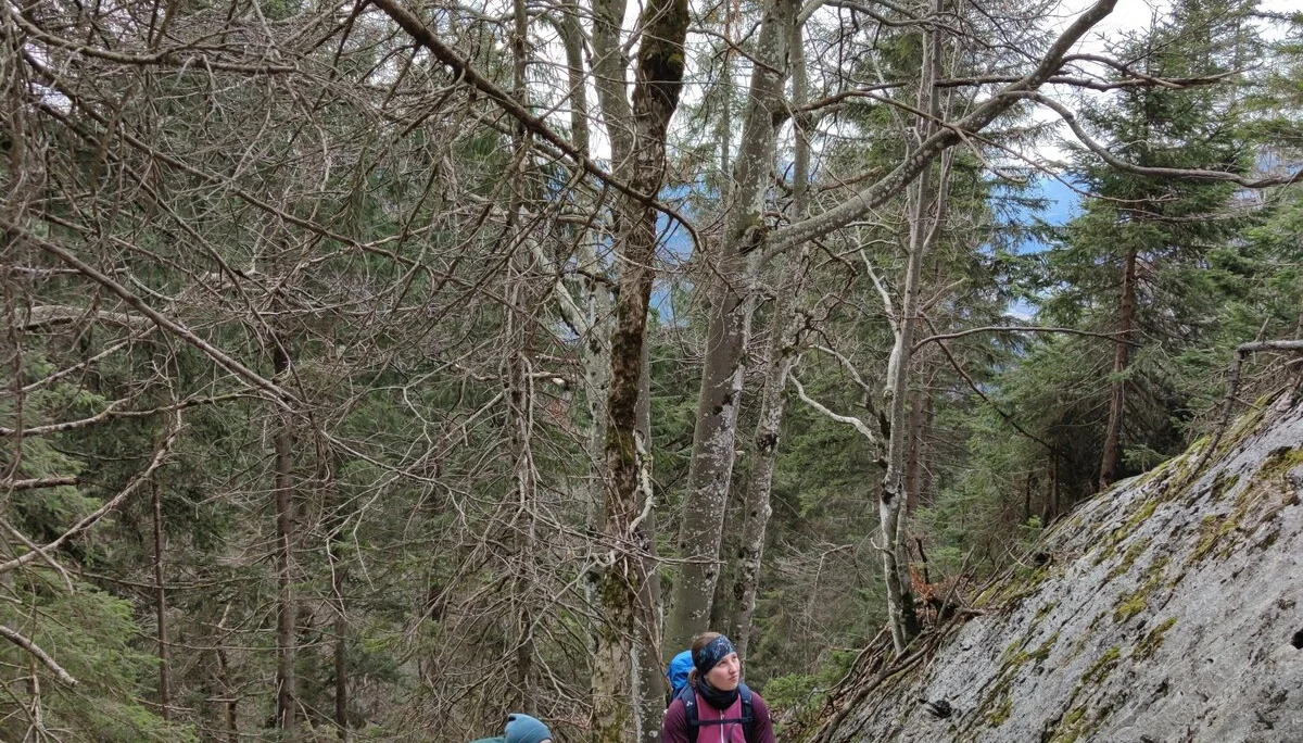 Vorderkaiserfeldenhütte | © Schlappinger Anna