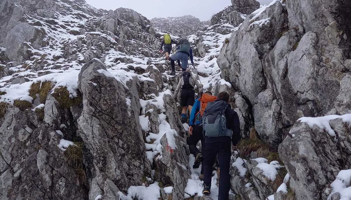 Scheffauer | © Eichinger Sebastian