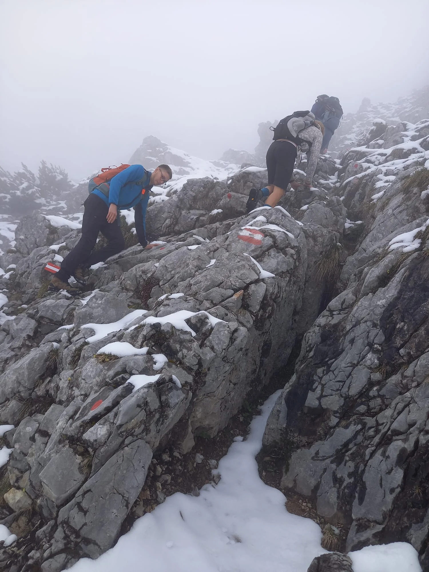 Scheffauer | © Eichinger Sebastian