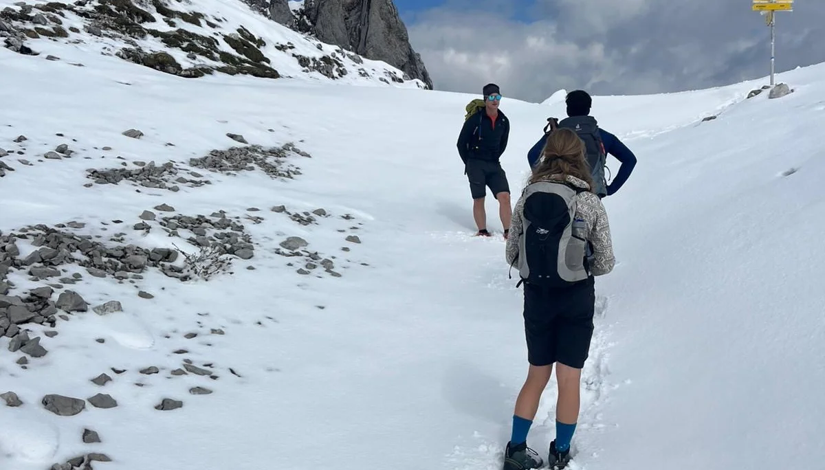 Scheffauer | © Eichinger Sebastian