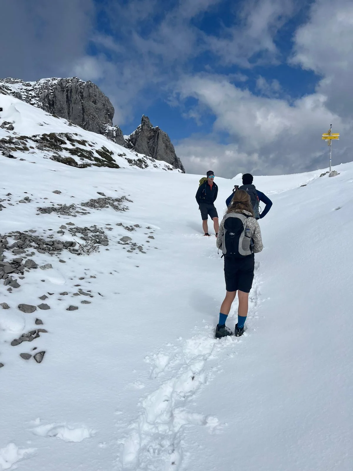 Scheffauer | © Eichinger Sebastian