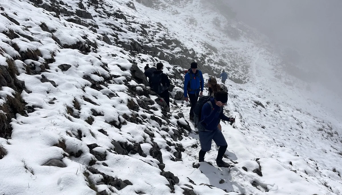 Scheffauer | © Eichinger Sebastian