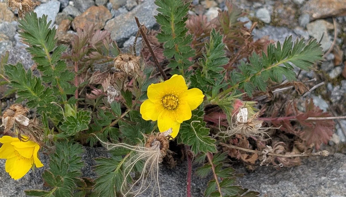 Vier Tage Abenteuer auf dem Taschachhaus | © Able Ludwig