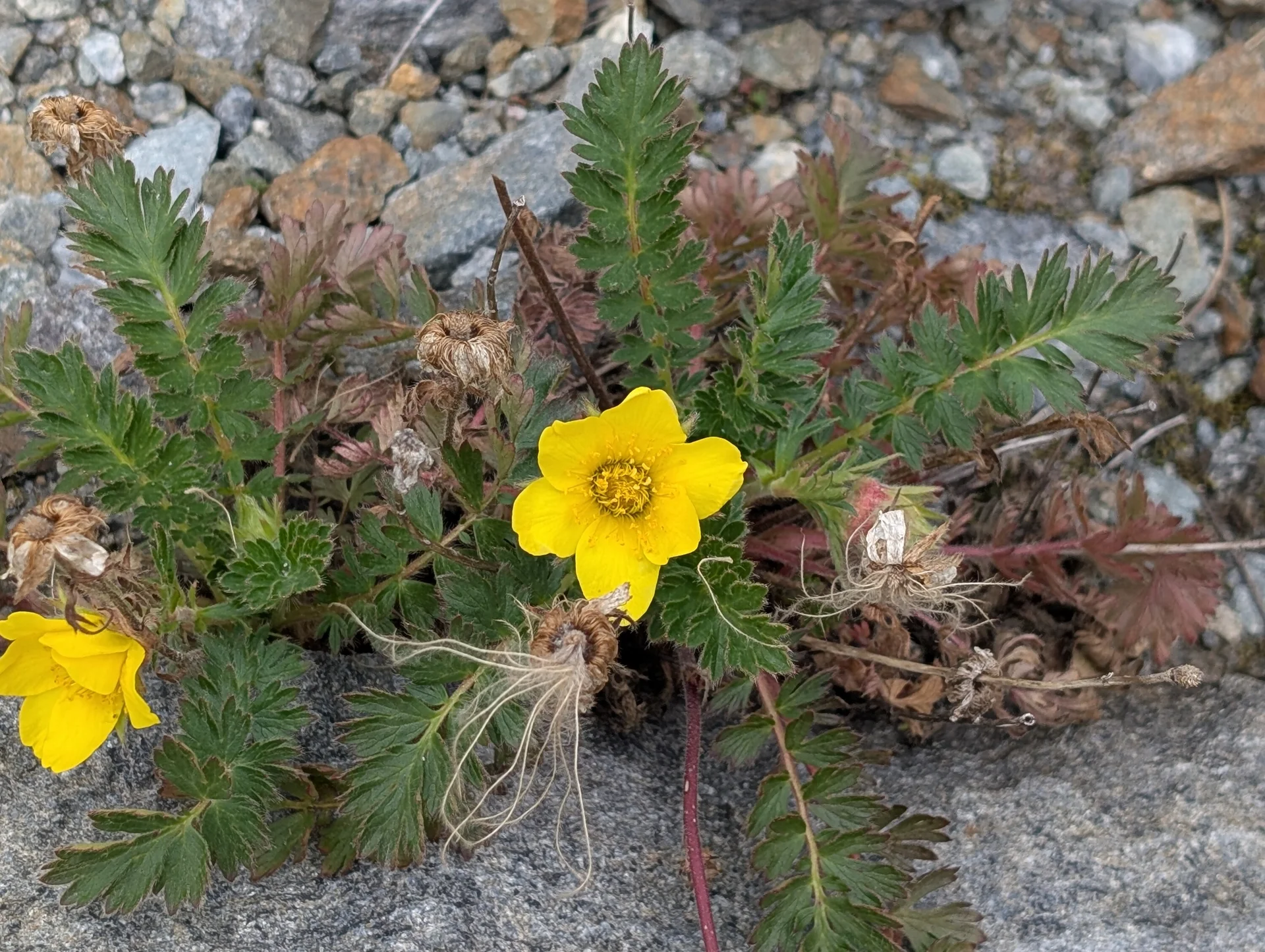 Vier Tage Abenteuer auf dem Taschachhaus | © Able Ludwig