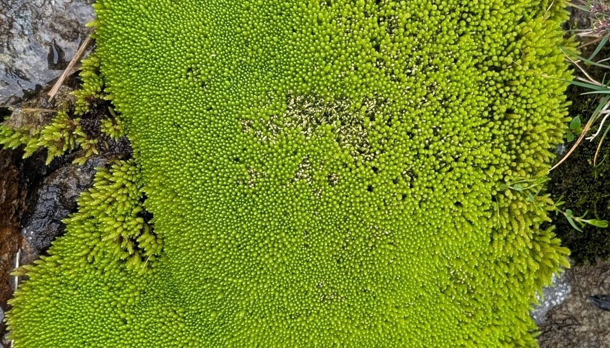 Vier Tage Abenteuer auf dem Taschachhaus | © Able Ludwig