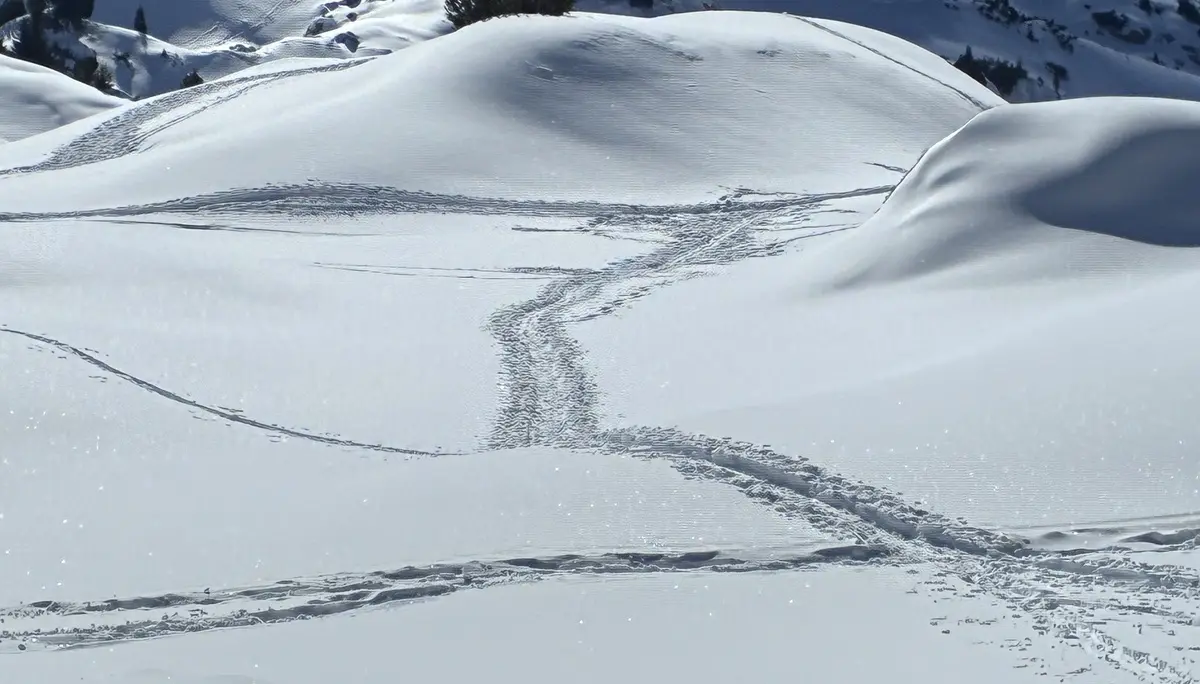 Schneeschuhausbildung_JDAV_Dingolfing_2026  | © Christian Kiermeier 