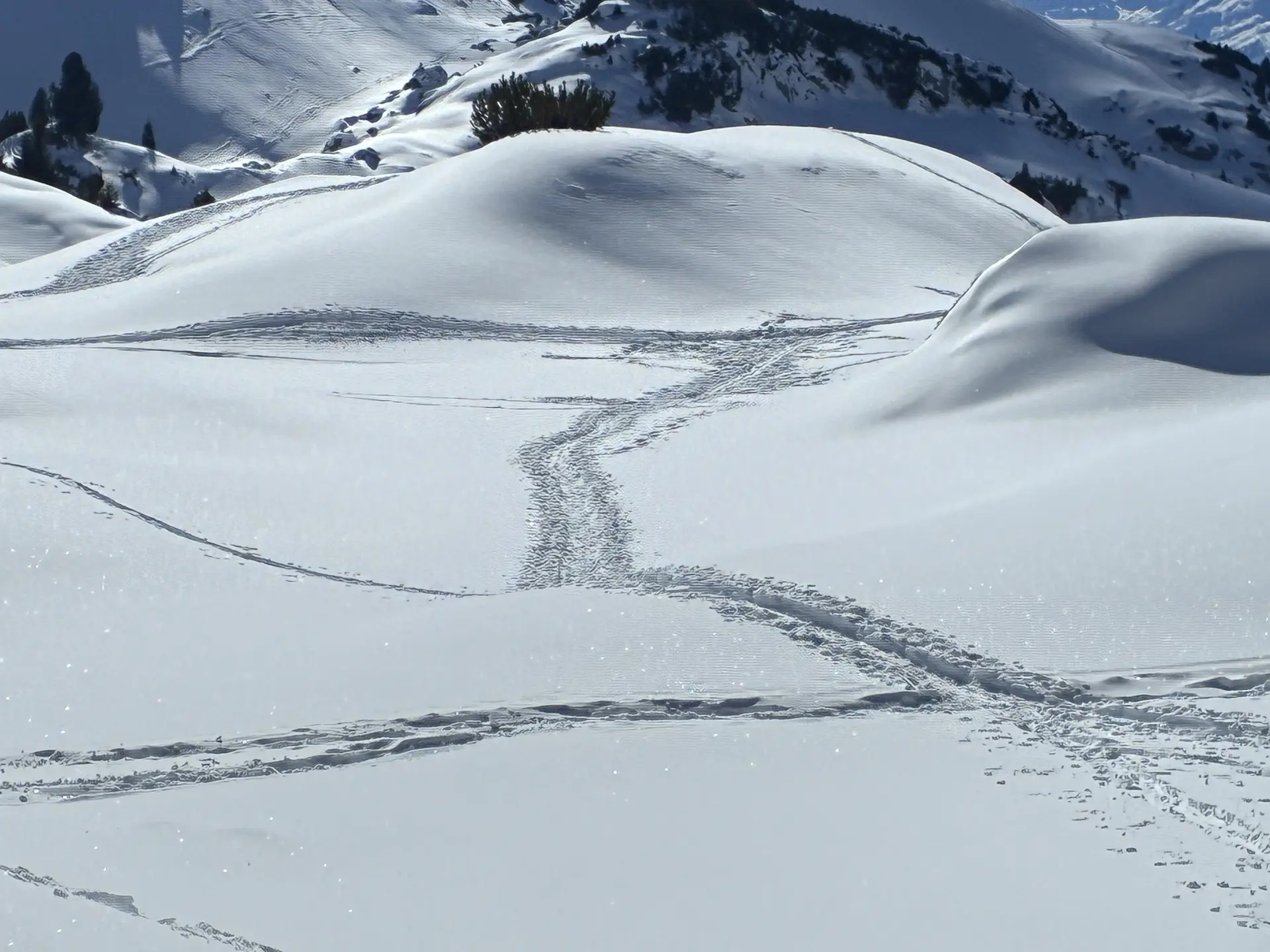 Schneeschuhausbildung_JDAV_Dingolfing_2026  | © Christian Kiermeier 