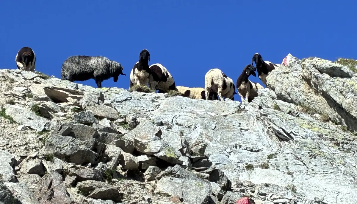 Stubaier Alpen  | © Kiermeier Christian