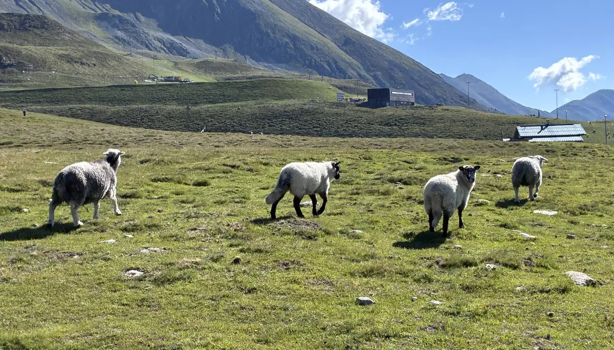 Stubaier Alpen  | © Kiermeier Christian