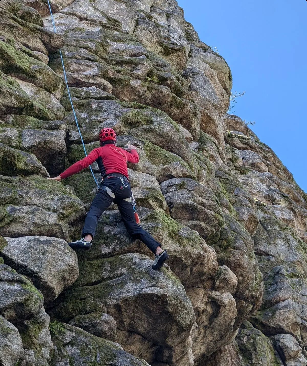 Steinwald | © Able Ludwig