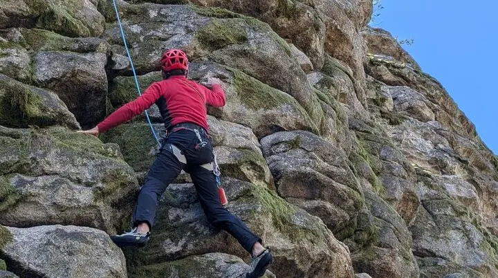 Steinwald | © Able Ludwig