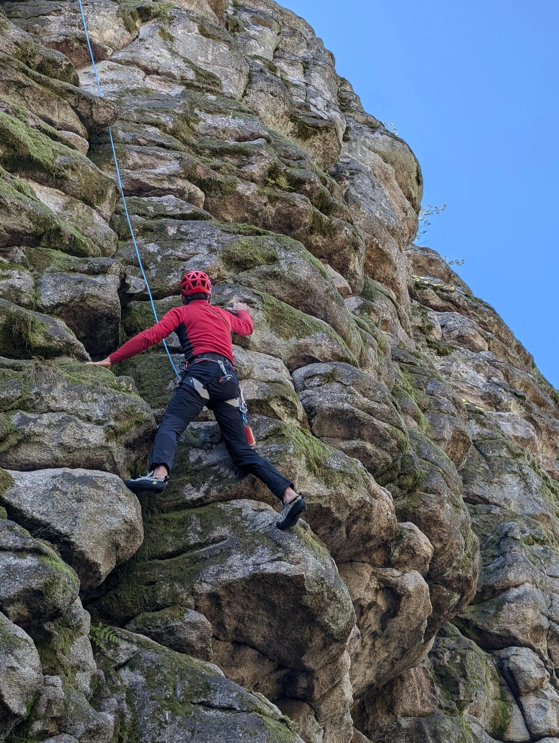 Steinwald | © Able Ludwig