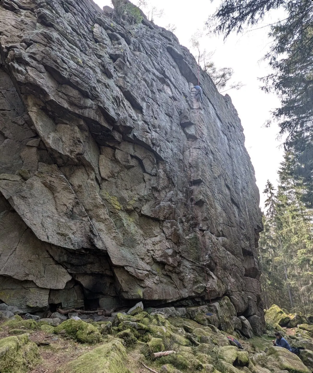 Steinwald | © Able Ludwig