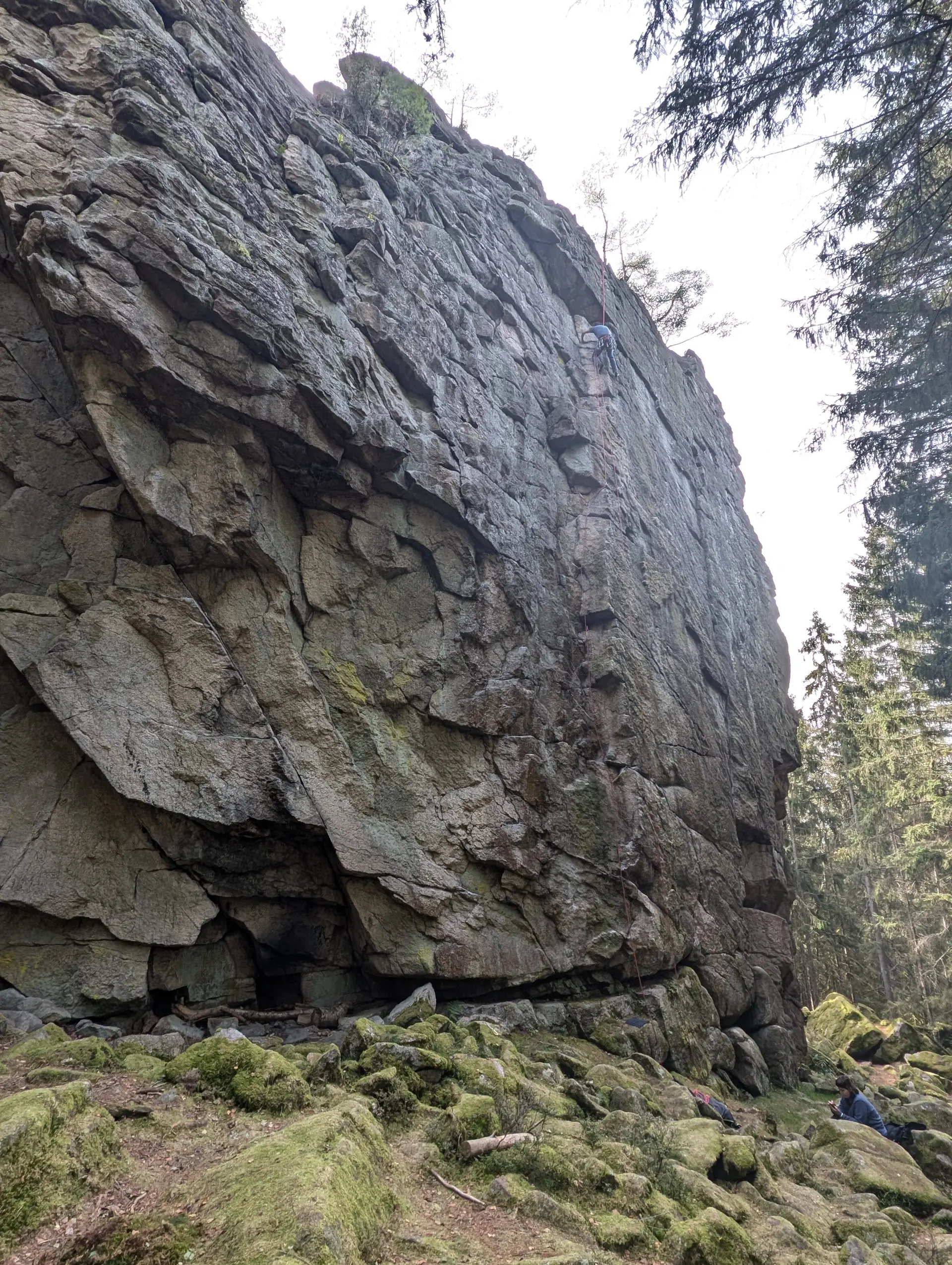 Steinwald | © Able Ludwig