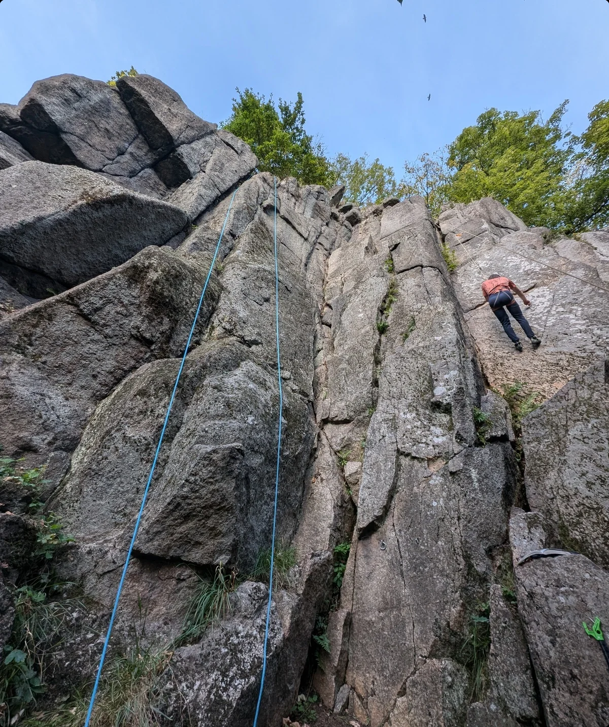 Steinwald | © Able Ludwig