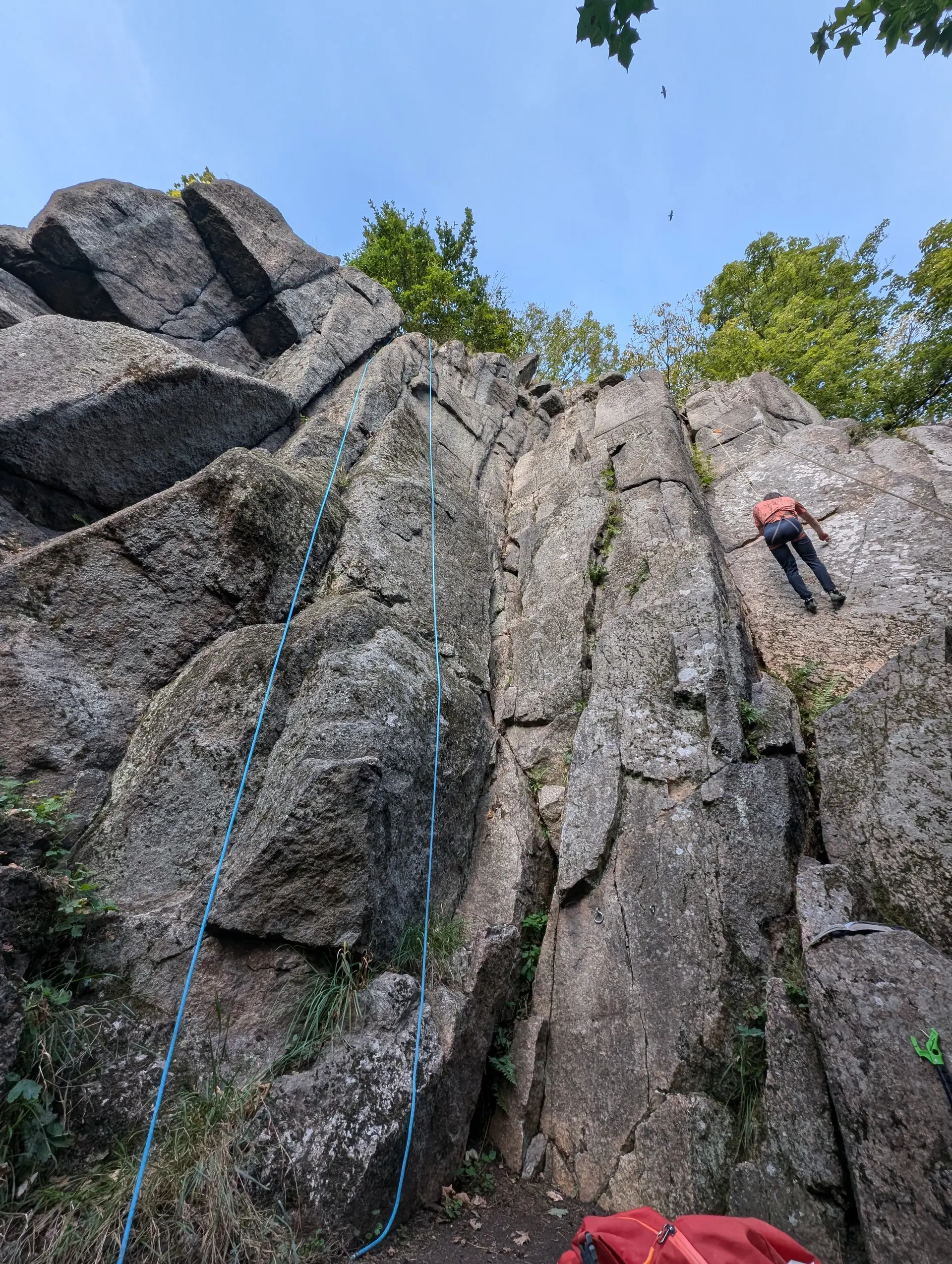 Steinwald | © Able Ludwig