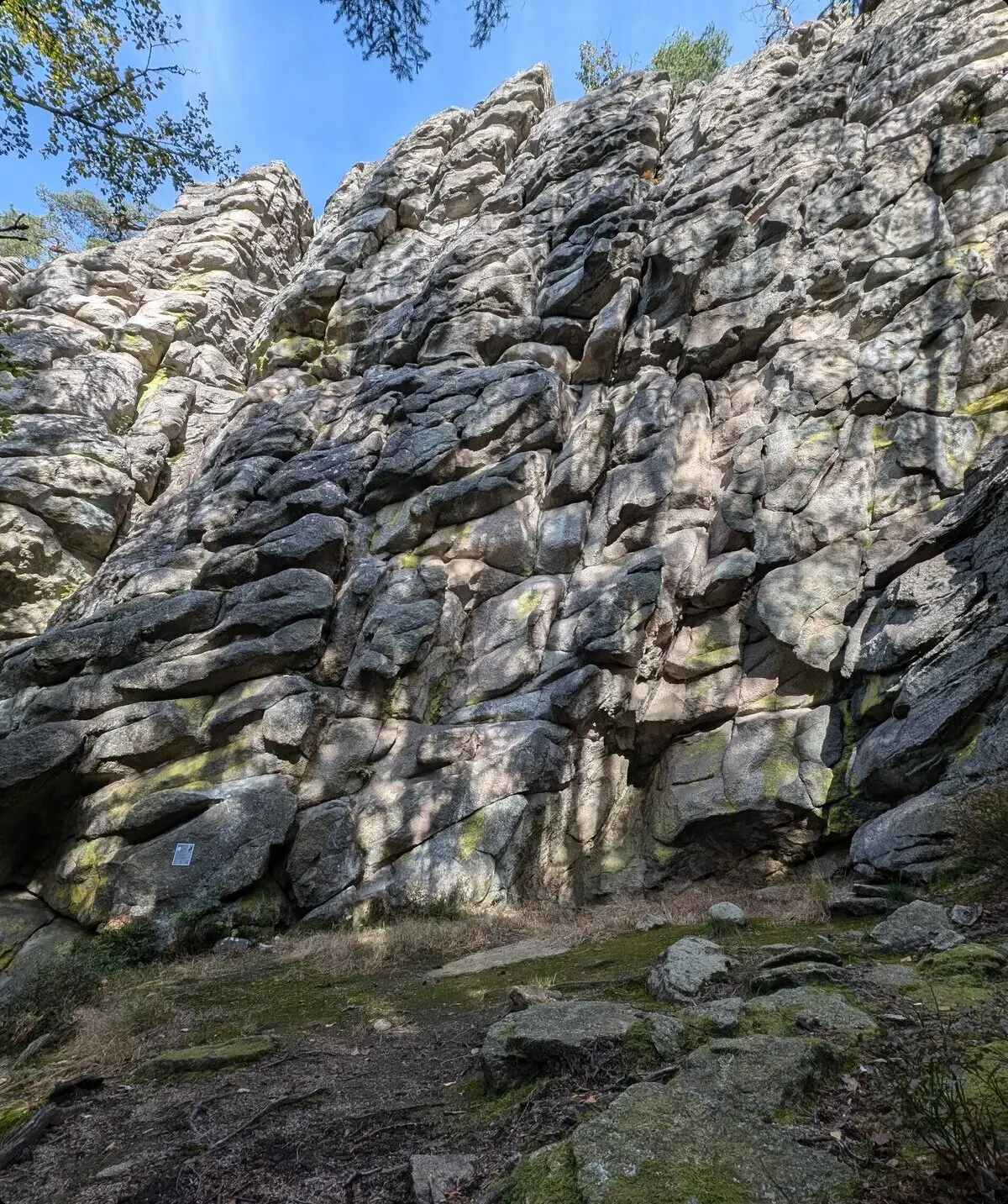 Steinwald | © Able Ludwig