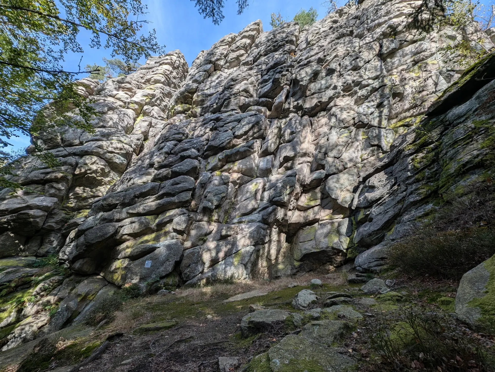 Steinwald | © Able Ludwig