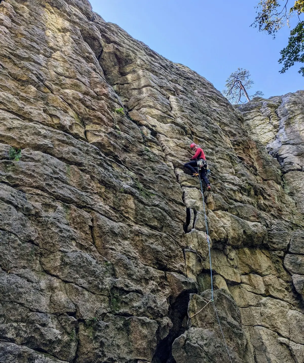 Steinwald | © Able Ludwig