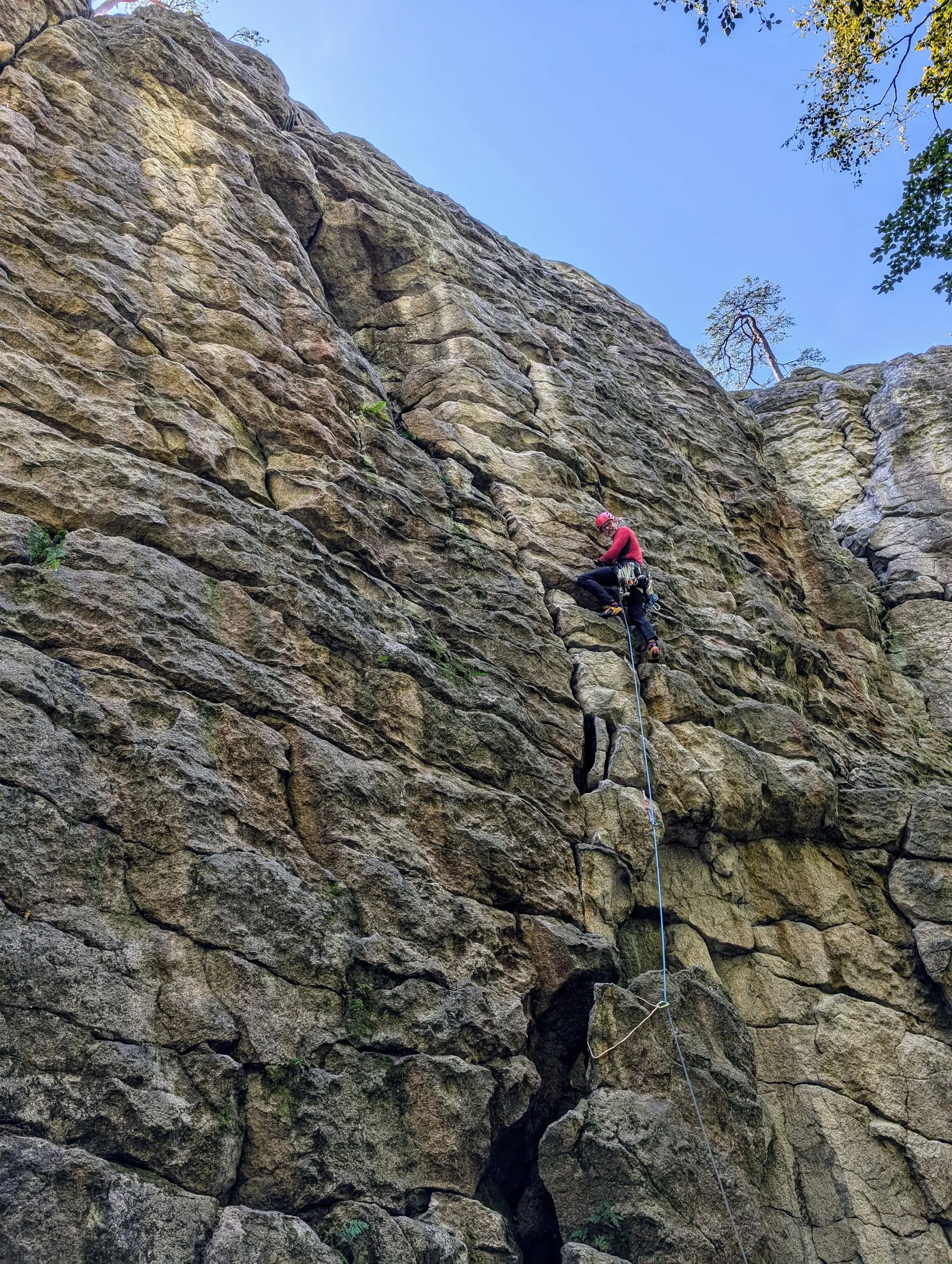 Steinwald | © Able Ludwig