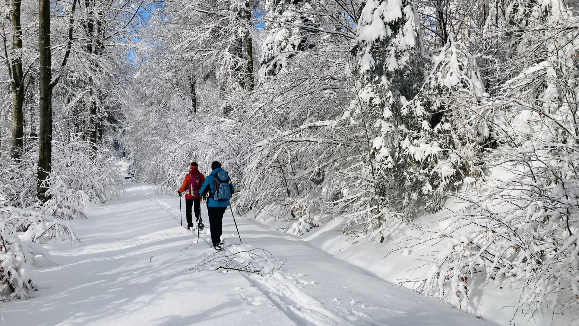 Kleiner Arbersee, Berghaus Sonnenfels | © Marlene Killesreiter