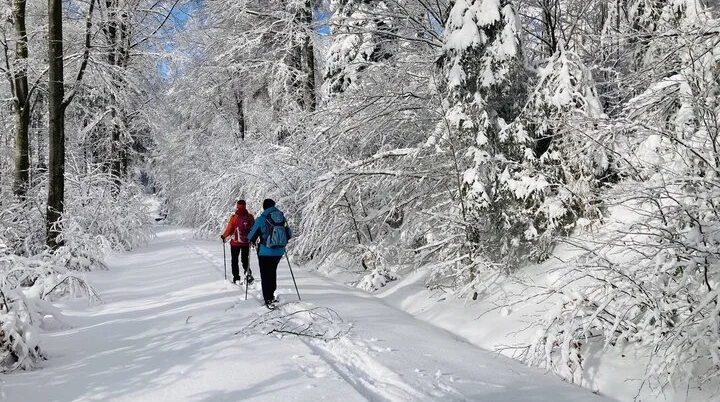 Kleiner Arbersee, Berghaus Sonnenfels | © Marlene Killesreiter