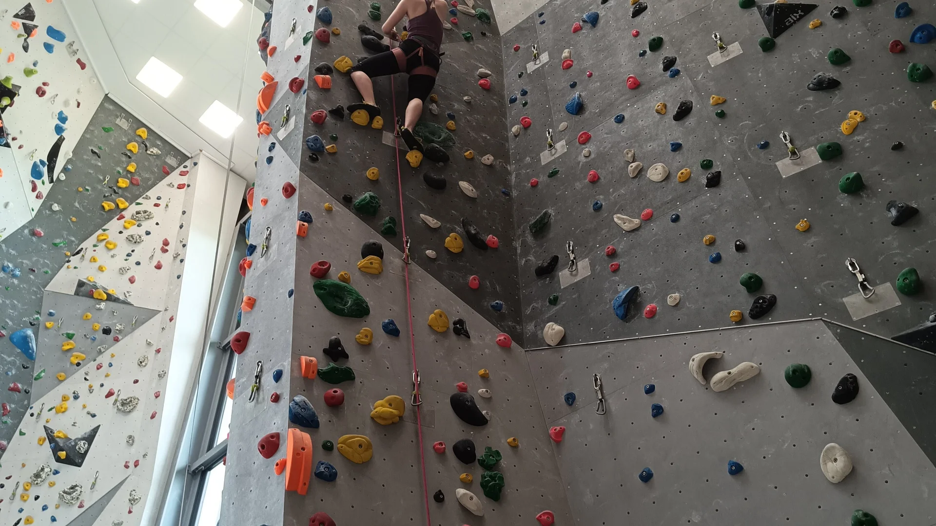 Sturz - und Sicherungstraining in der Kletterhalle | © Ludwig Haslbeck