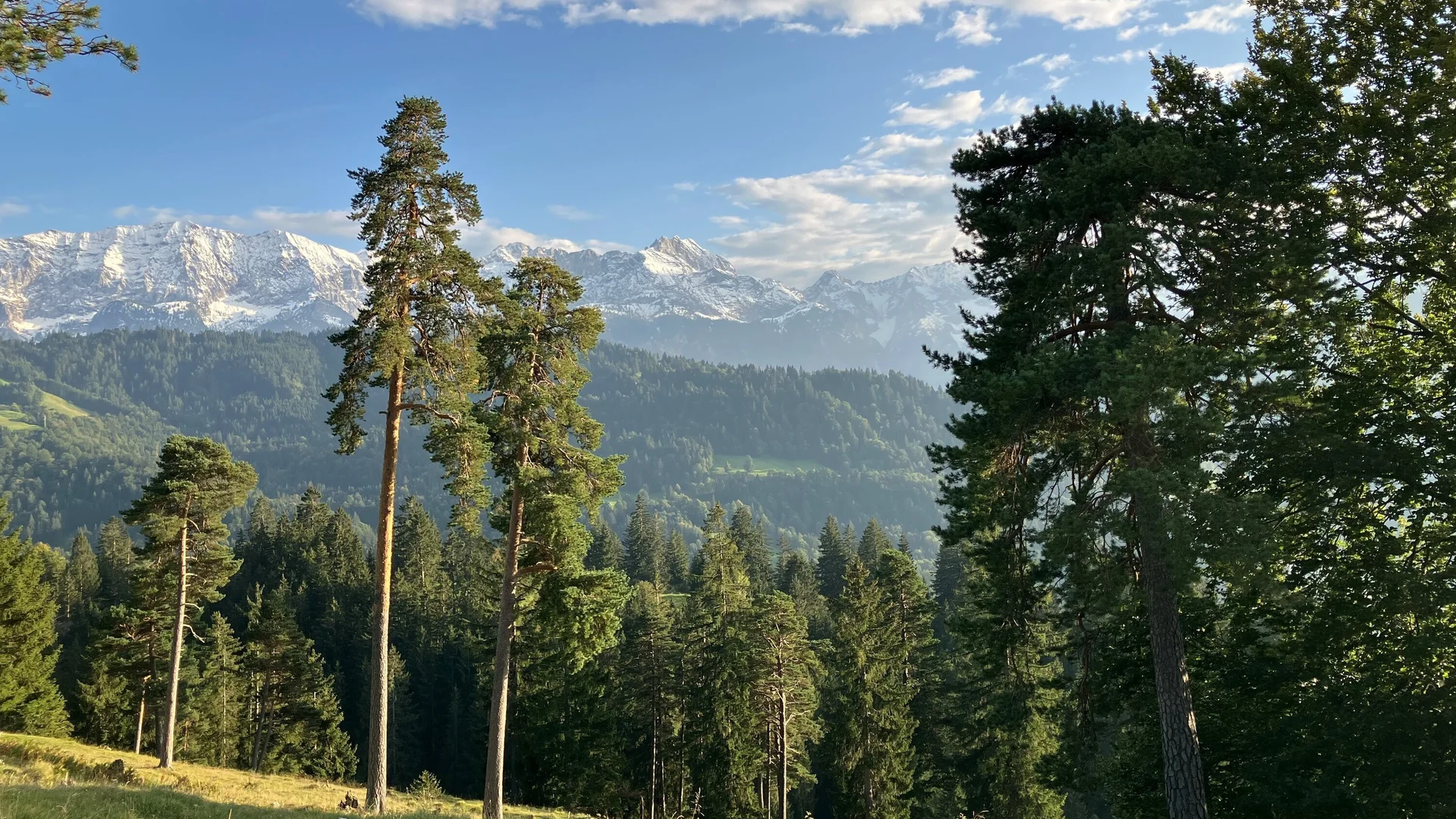 Ahornboden | © Susanne Schneider