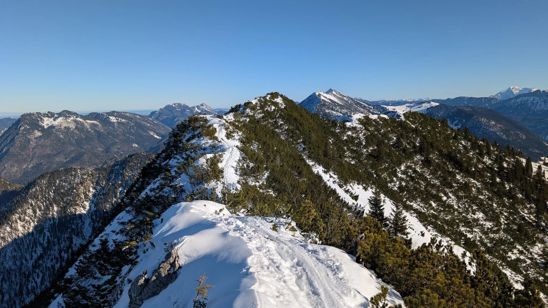Dürrnbachhorn Wildalpjoch | © Witzelsperger Karin