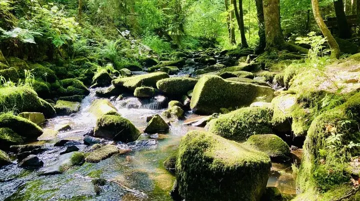 Wanderung durch die Saußbachklamm | © Marlene Killesreiter