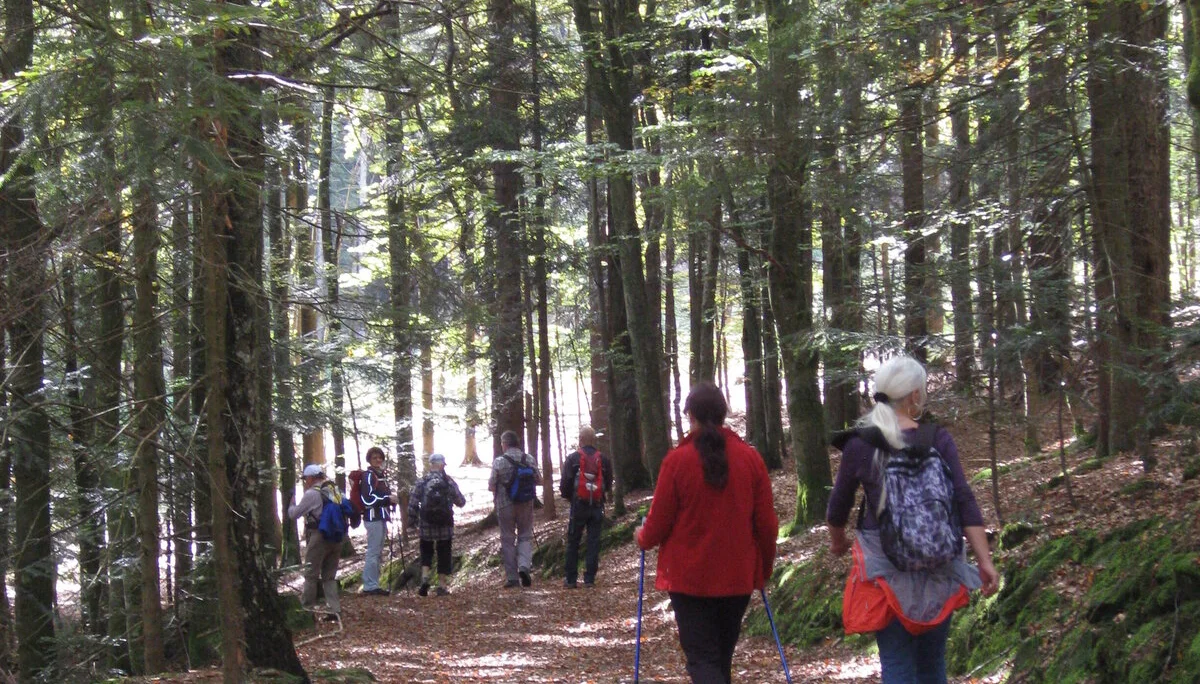 Brotjackelriegel | © Brotjackelriegel