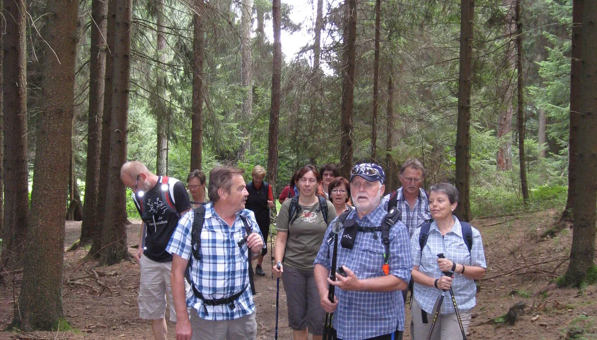 Haidstein | © Haidstein