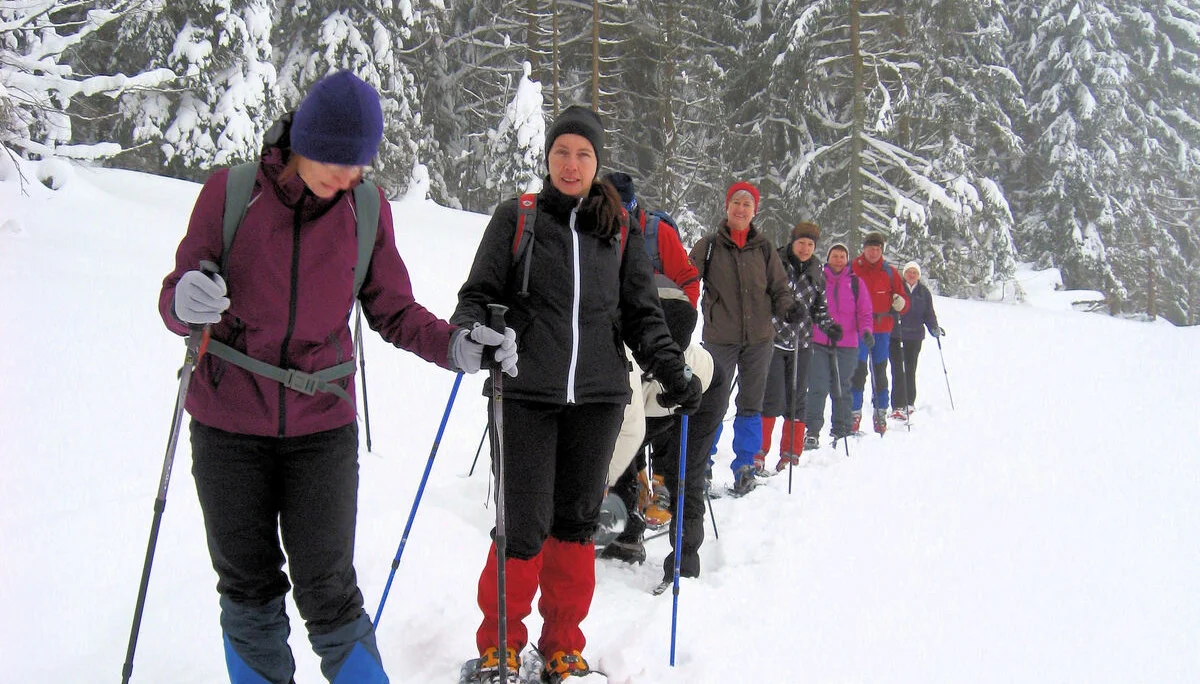 Dreisessel | © Dreisessel