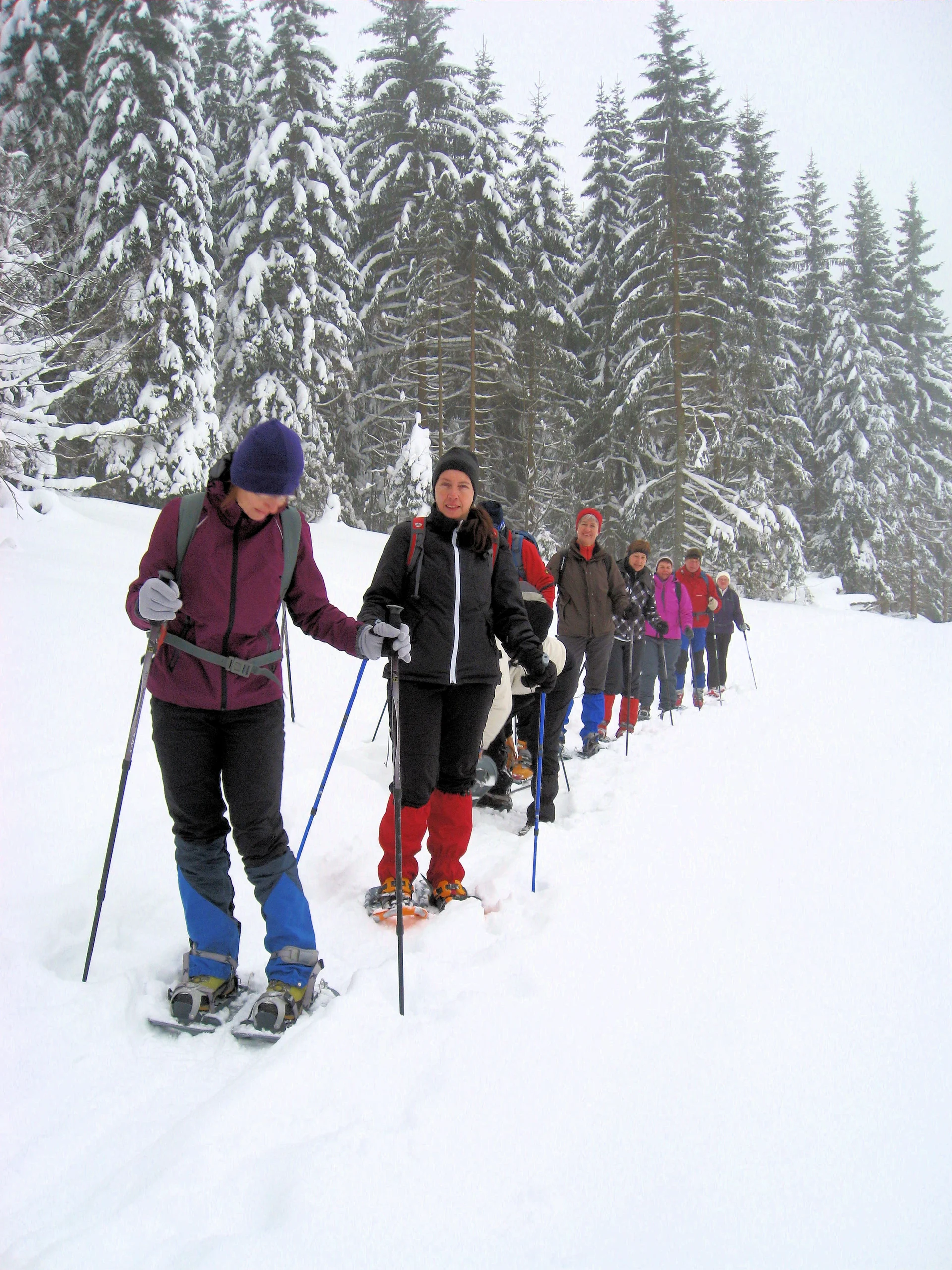 Dreisessel | © Dreisessel