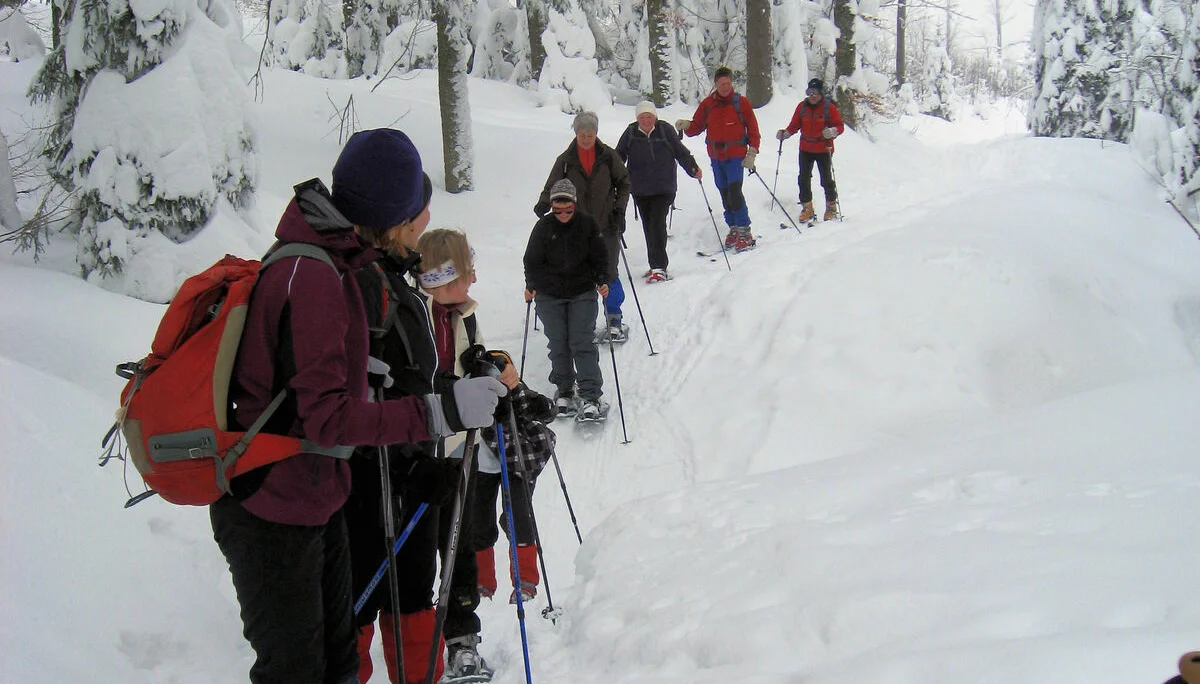 Dreisessel | © Dreisessel