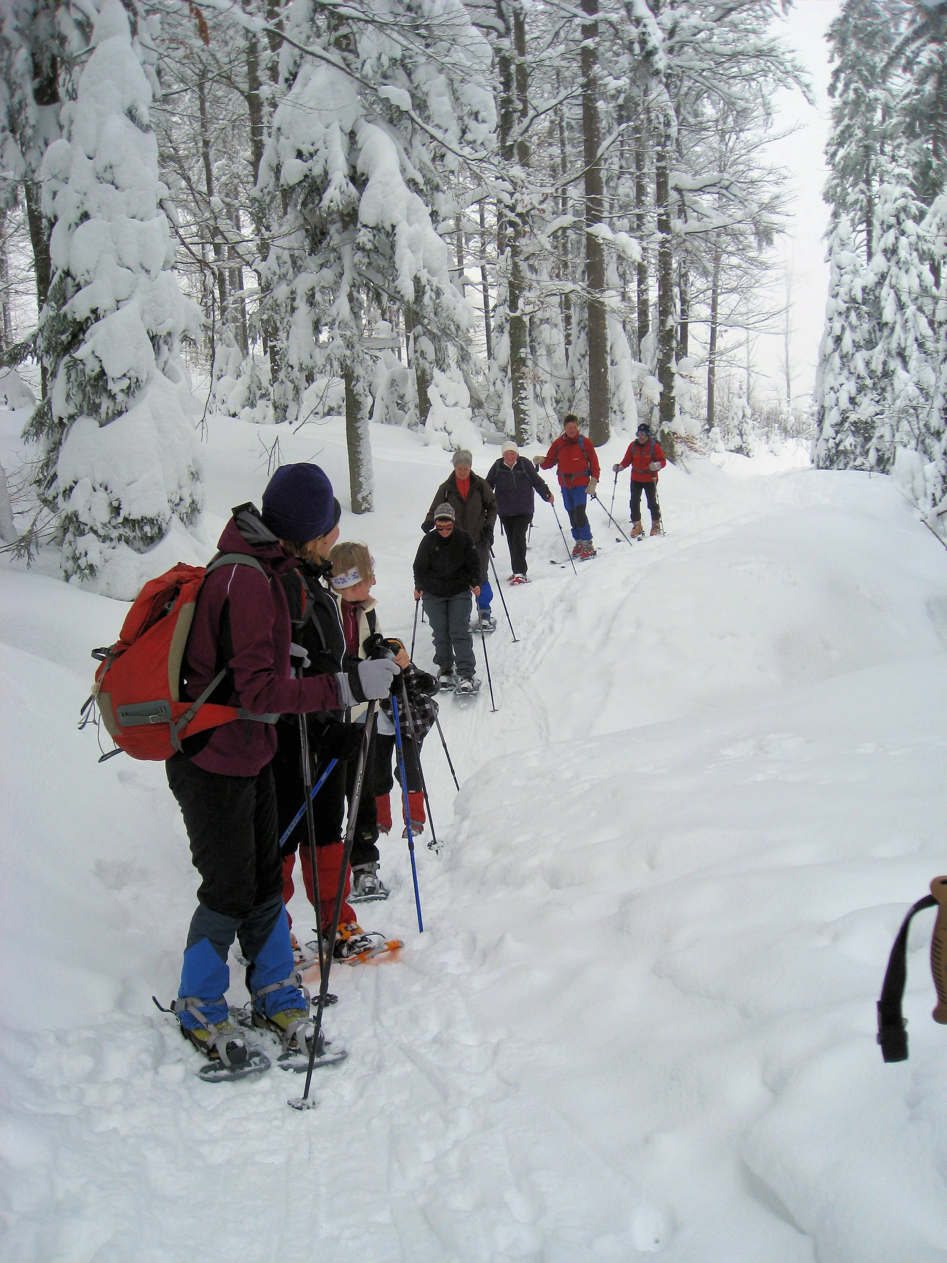 Dreisessel | © Dreisessel