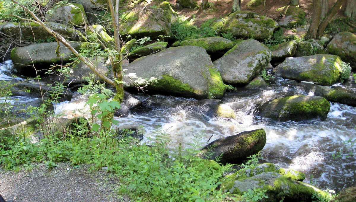 Goldsteig  | © Goldsteig 