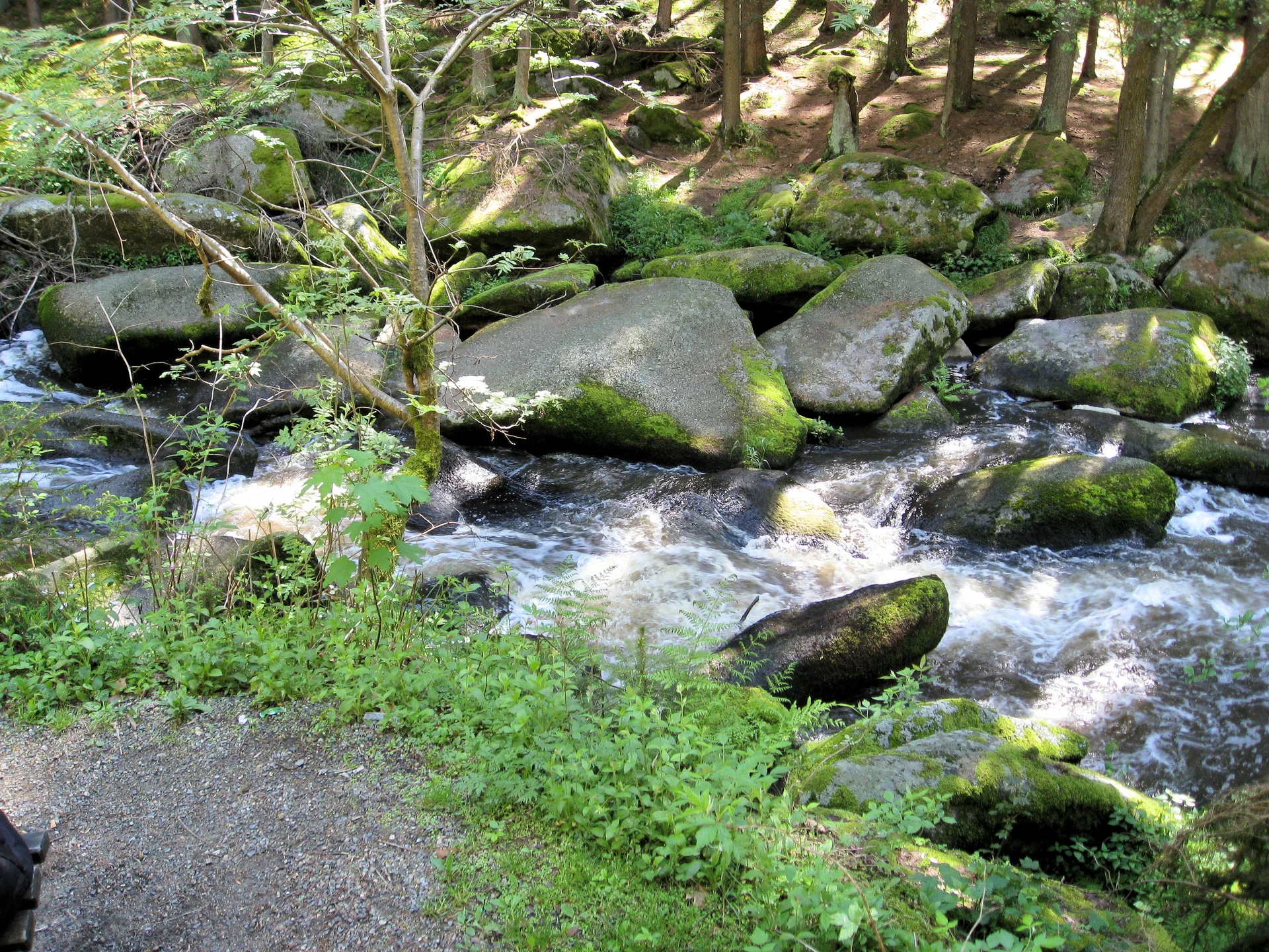 Goldsteig  | © Goldsteig 