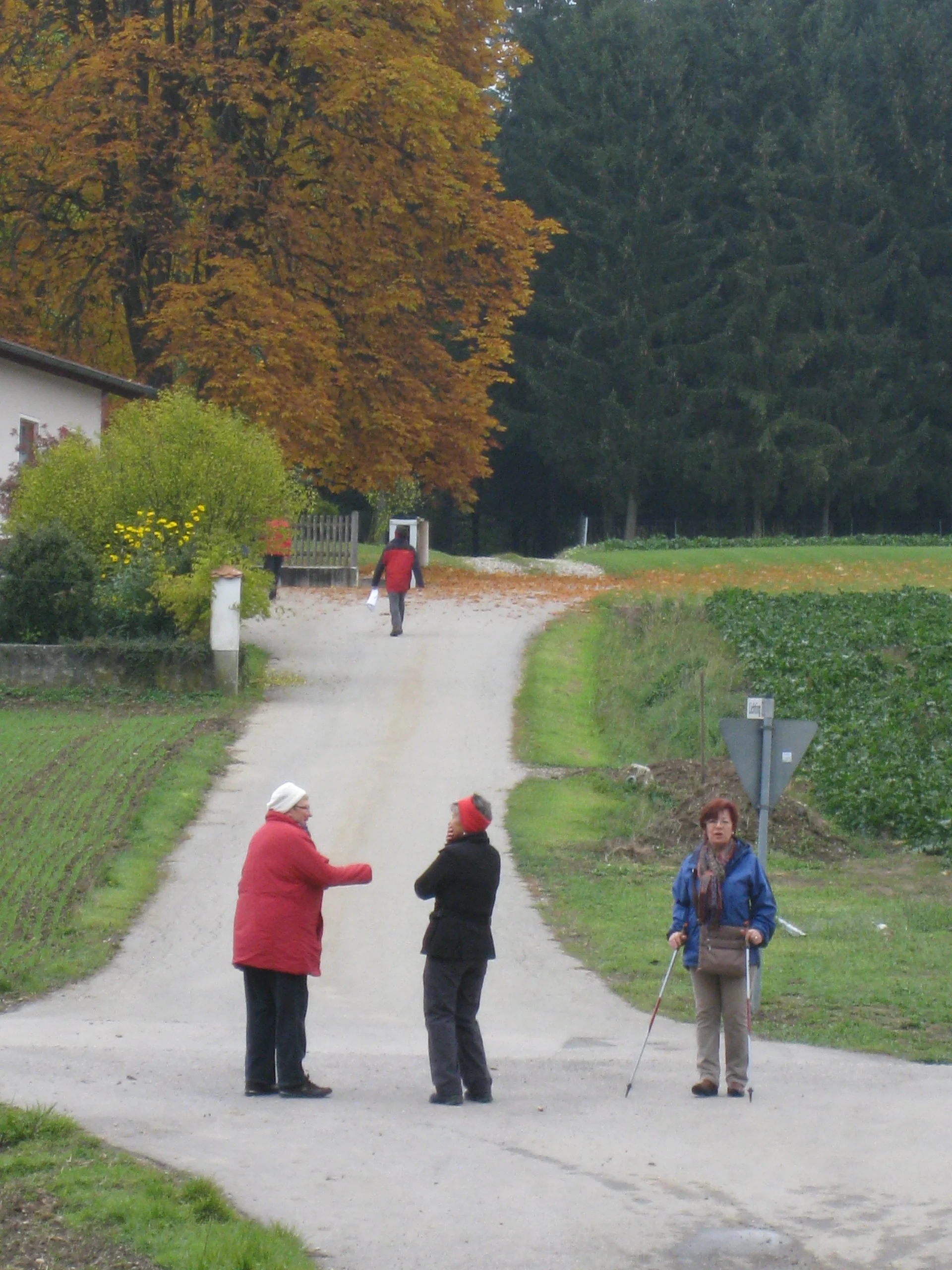 Hartlwirt | © Hartlwirt