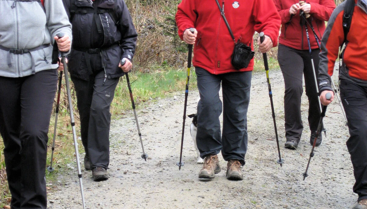 Altnußberg | © Altnußberg